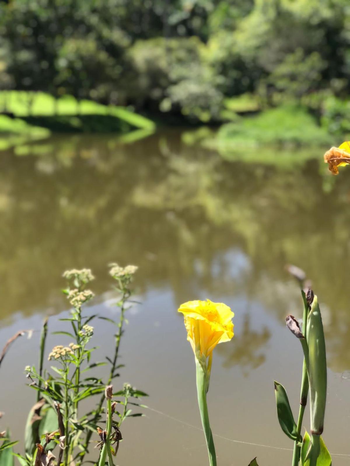 Canto De Roca Turismo E Lazer Mimoso do Sul Bagian luar foto