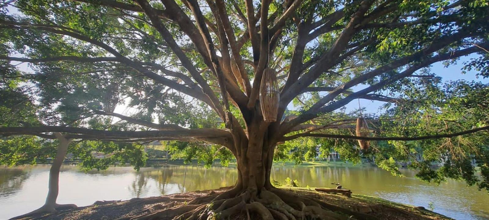 Canto De Roca Turismo E Lazer Mimoso do Sul Bagian luar foto